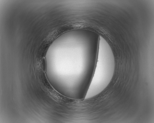 X0000061750601200512021114
