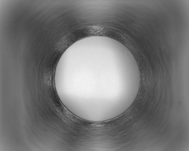 X0000061750602200512021114