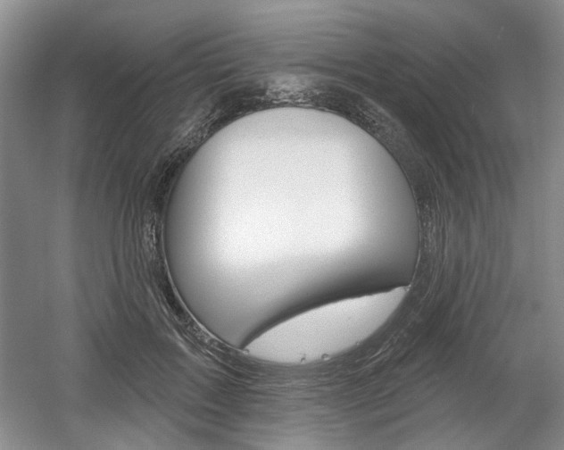 X0000061750603200512021114