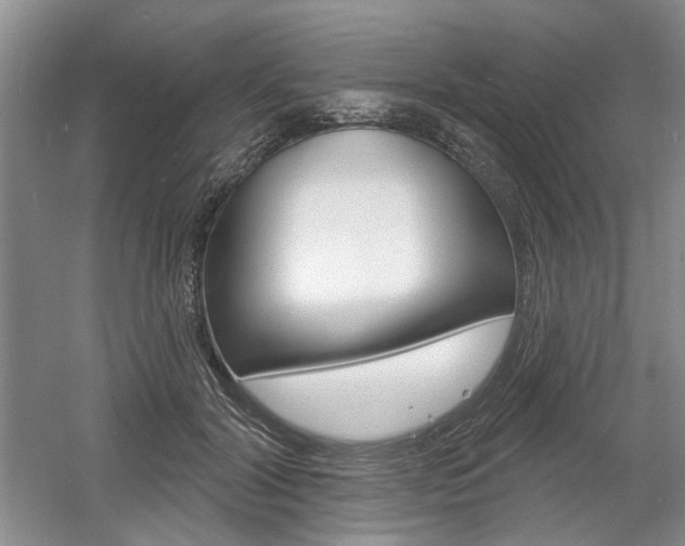 X0000061750604200512021114