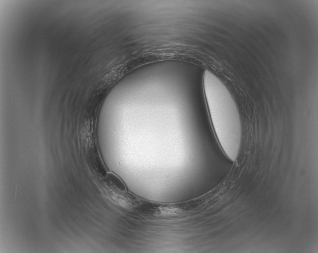 X0000061750605200512021114