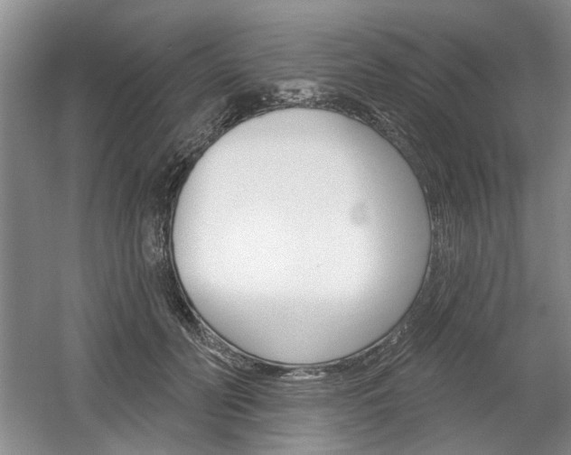 X0000061750606200512021114