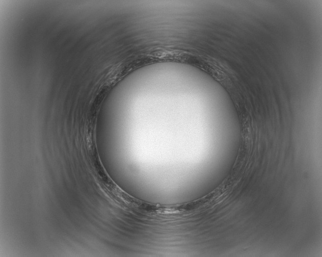 X0000061750607200512021114