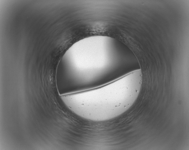 X0000061750608200512021114