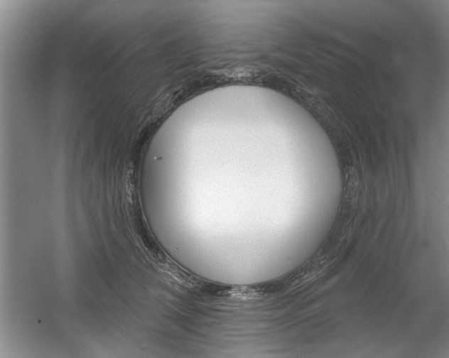 X0000061750612200512021114