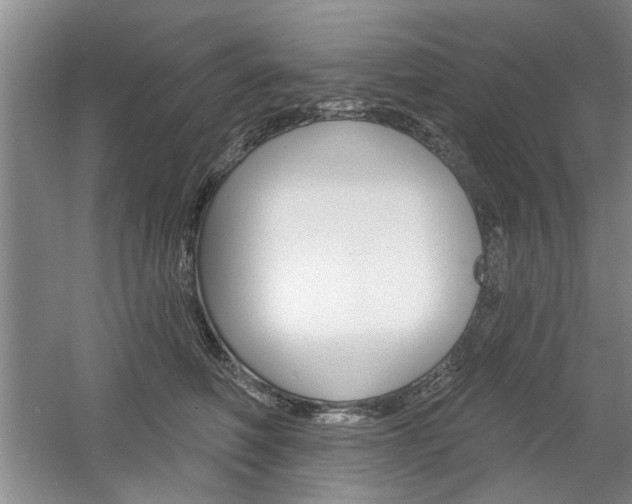 X0000061750614200512021114