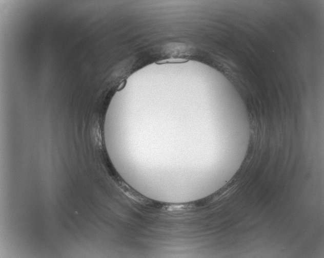X0000061750622200512021113