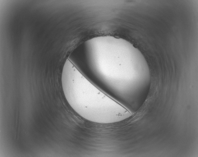 X0000061750624200512021113