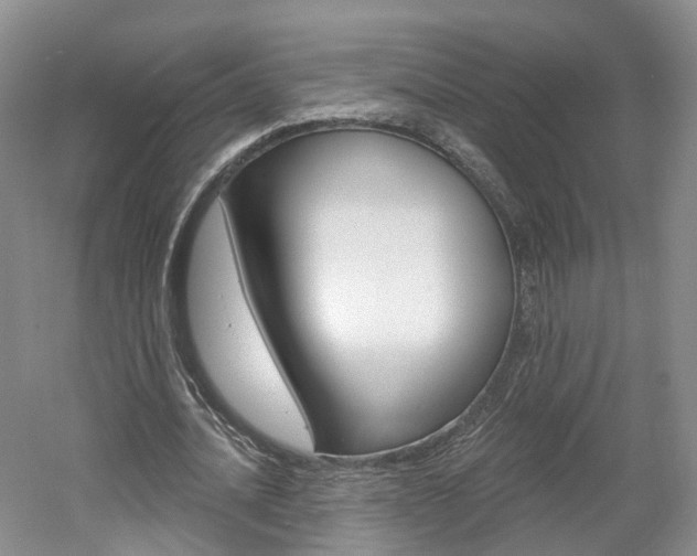 X0000061750628200512021113