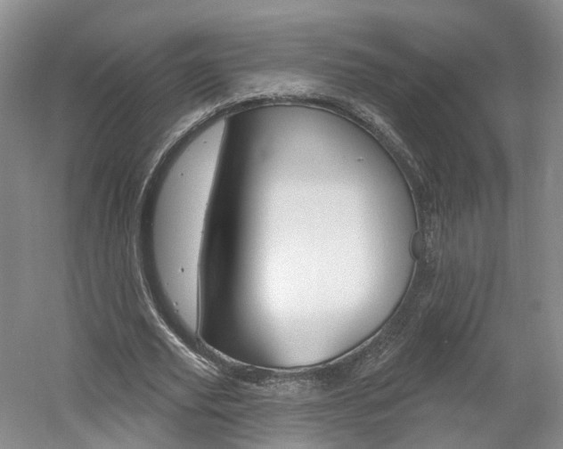 X0000061750629200512021113