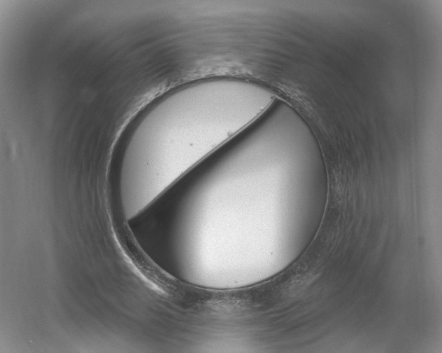 X0000061750630200512021113