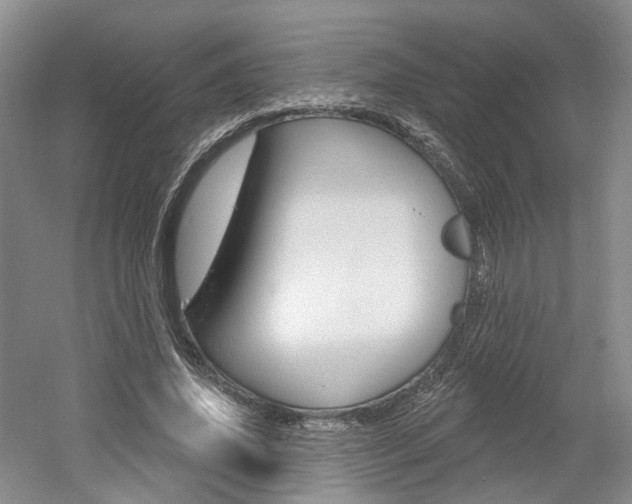 X0000061750636200512021113