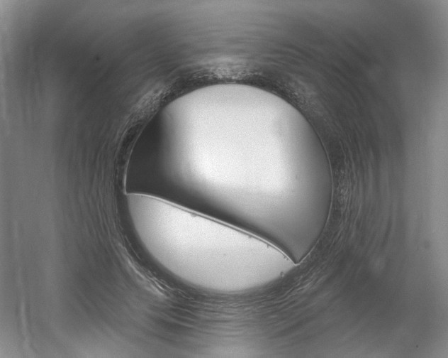X0000061750639200512021113