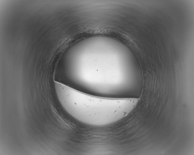 X0000061750643200512021113