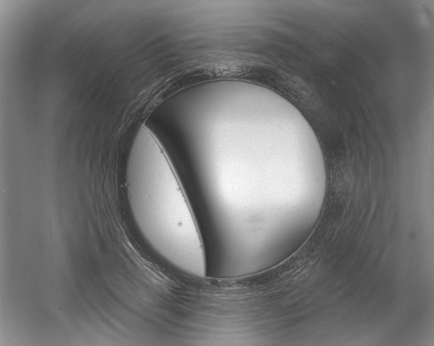 X0000061750645200512021113