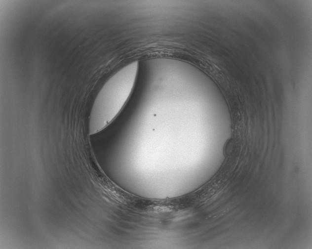 X0000061750649200512021113
