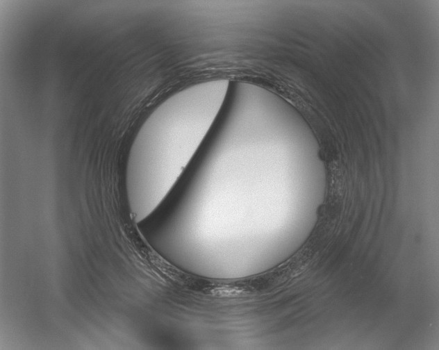X0000061750650200512021113