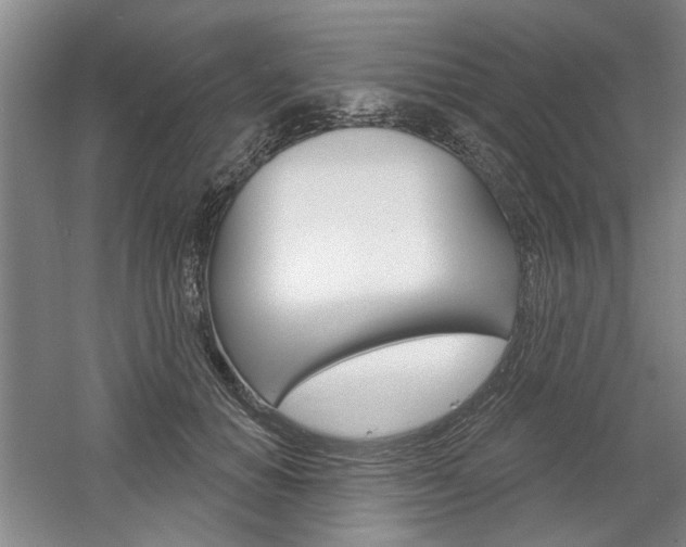X0000061750654200512021113