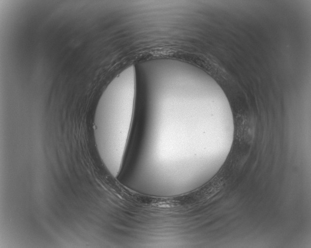 X0000061750655200512021113