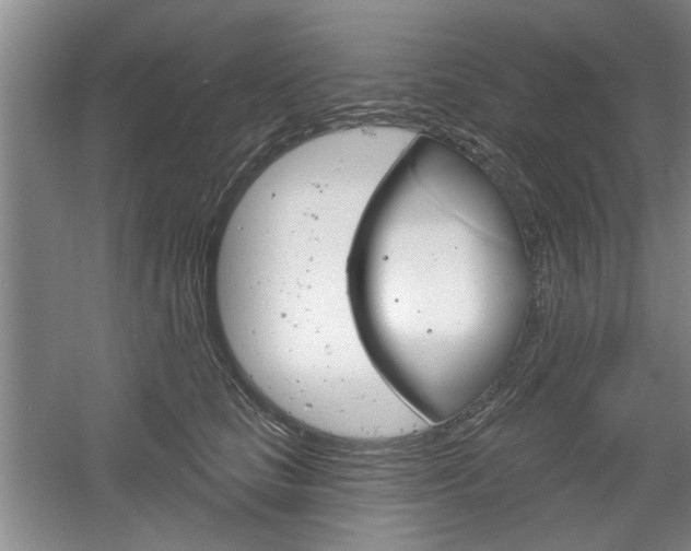 X0000061750661200512021113