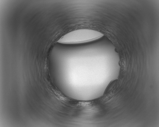X0000061750665200512021113