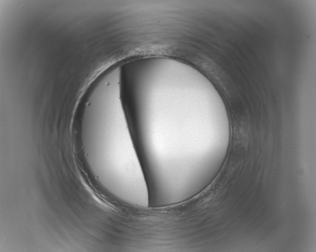 X0000061750674200512021113