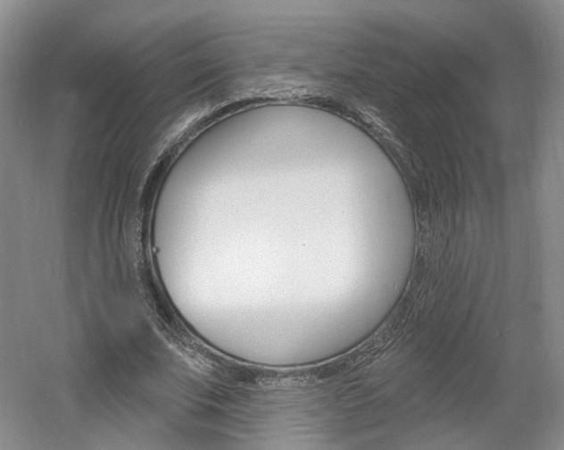 X0000061750679200512021112