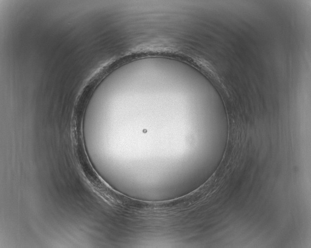 X0000061750680200512021112