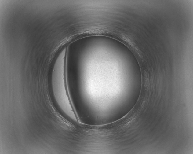 X0000061750681200512021112