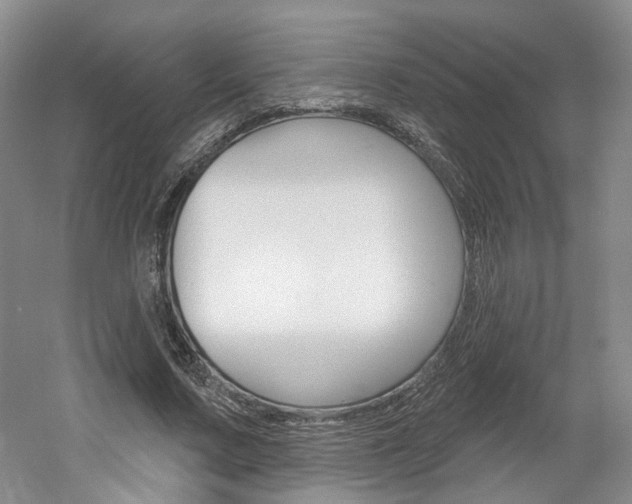X0000061750683200512021112