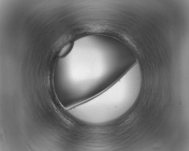 X0000061750685200512021112