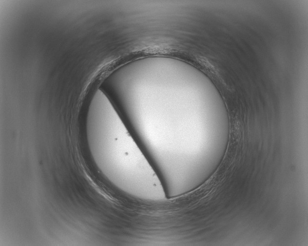 X0000061750686200512021112