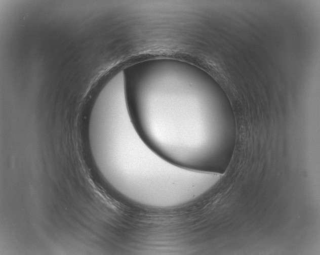 X0000061750688200512021112