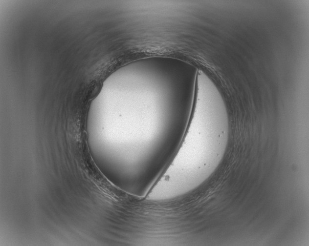 X0000061750689200512021112