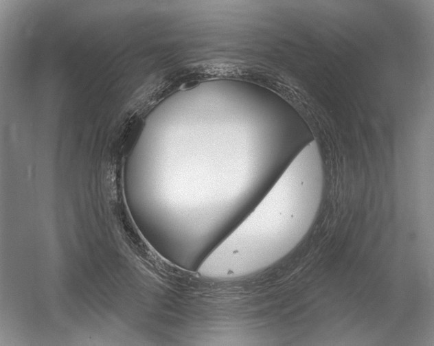 X0000061750696200512021112
