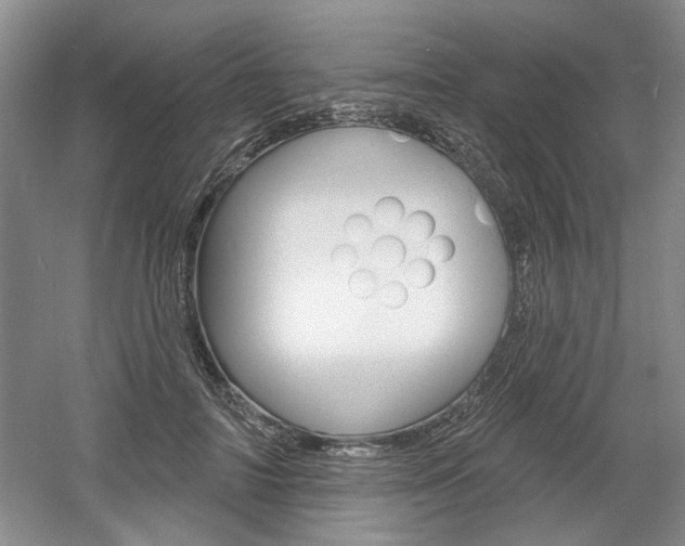 X0000061750698200512021112