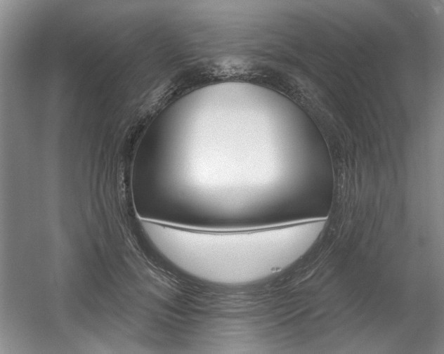 X0000061750700200512021112