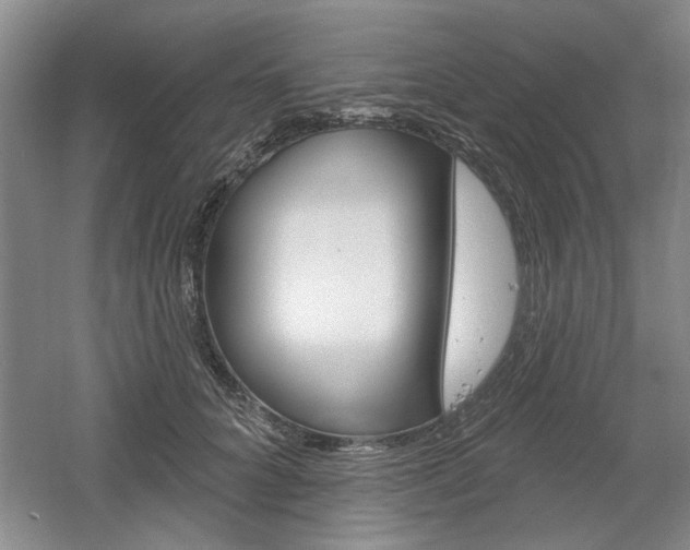 X0000061750704200512021112