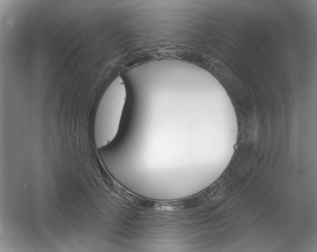 X0000061750706200512021112