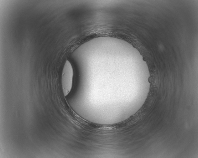 X0000061750711200512021112