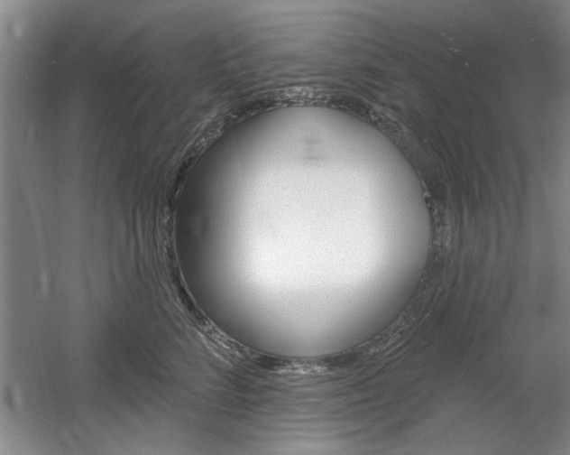 X0000061750712200512021112