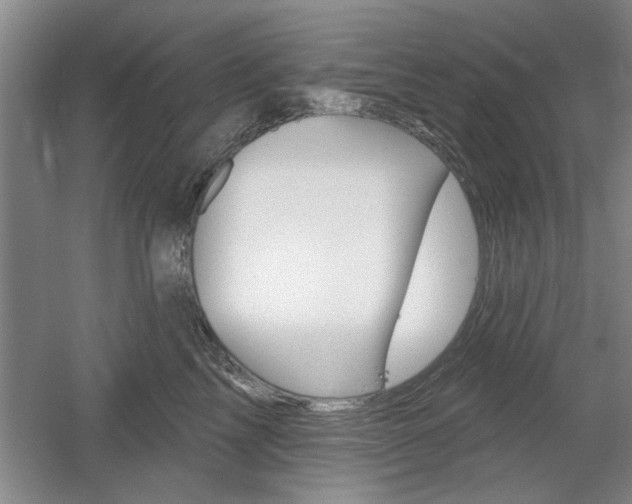 X0000061750713200512021112