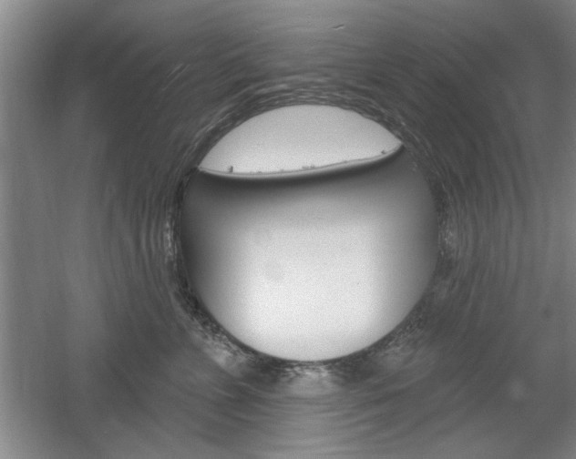 X0000061750715200512021112