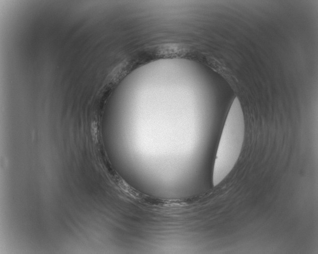 X0000061750716200512021112
