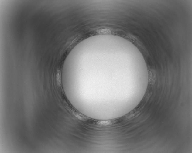X0000061750717200512021112