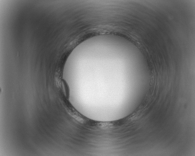 X0000061750719200512021112