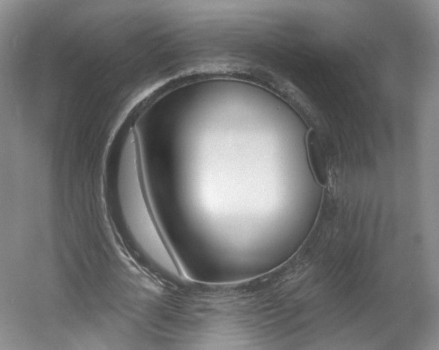 X0000061750724200512021111