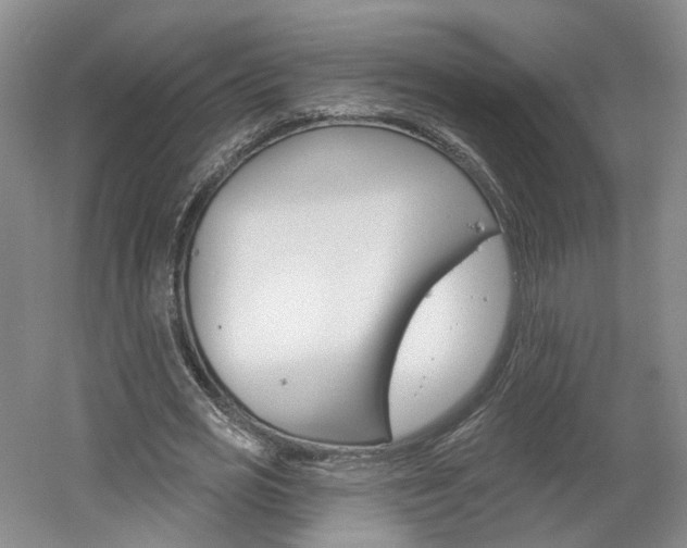 X0000061750725200512021111