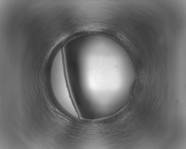 X0000061750731200512021111