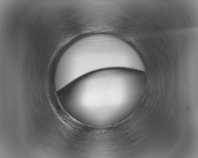 X0000061750736200512021111
